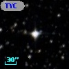 TYC 7675-575-1