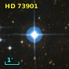 HD  73901