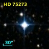 HD  75273