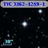 TYC 3362-1289-1