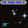 TYC 7666-960-1