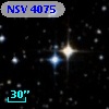 NSV  4075