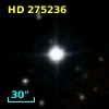 HD 275236