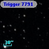 Trigger  7791