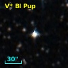 V* BI Pup