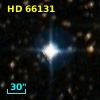 HD  66131