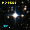 HD  66335