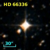 HD  66336