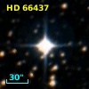 HD  66437