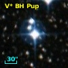 V* BH Pup