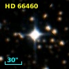 HD  66460