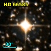 HD  66585