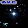 HD  36172