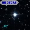 HD  36279