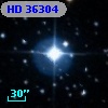 HD  36304