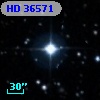 HD  36571