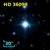 HD  36098
