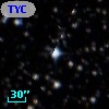 TYC 7667-95-1