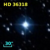 HD  36318