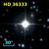 HD  36333