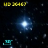 HD  36467