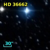 HD  36662