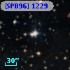 [SPB96] 1229