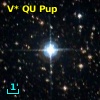 V* QU Pup