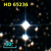 HD  65236