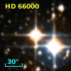 HD  66000