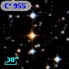 C*  955
