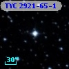 TYC 2921-65-1