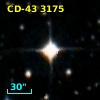CD-43  3175