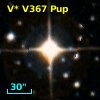 V* V367 Pup