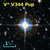 V* V344 Pup