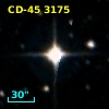 CD-45  3175