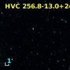HVC 256.8-13.0+247