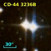 CD-44  3236B