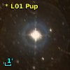 V* OU Pup