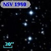 NSV  1980