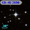 CD-45  2890