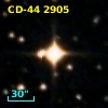 CD-44  2905