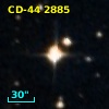 CD-44  2885