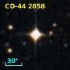 CD-44  2858