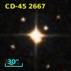 CD-45  2667