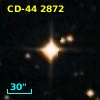 CD-44  2872