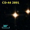 CD-44  2891