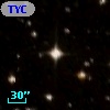 TYC 8104-2033-1