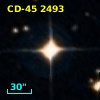 CD-45  2493