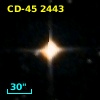 CD-45  2443